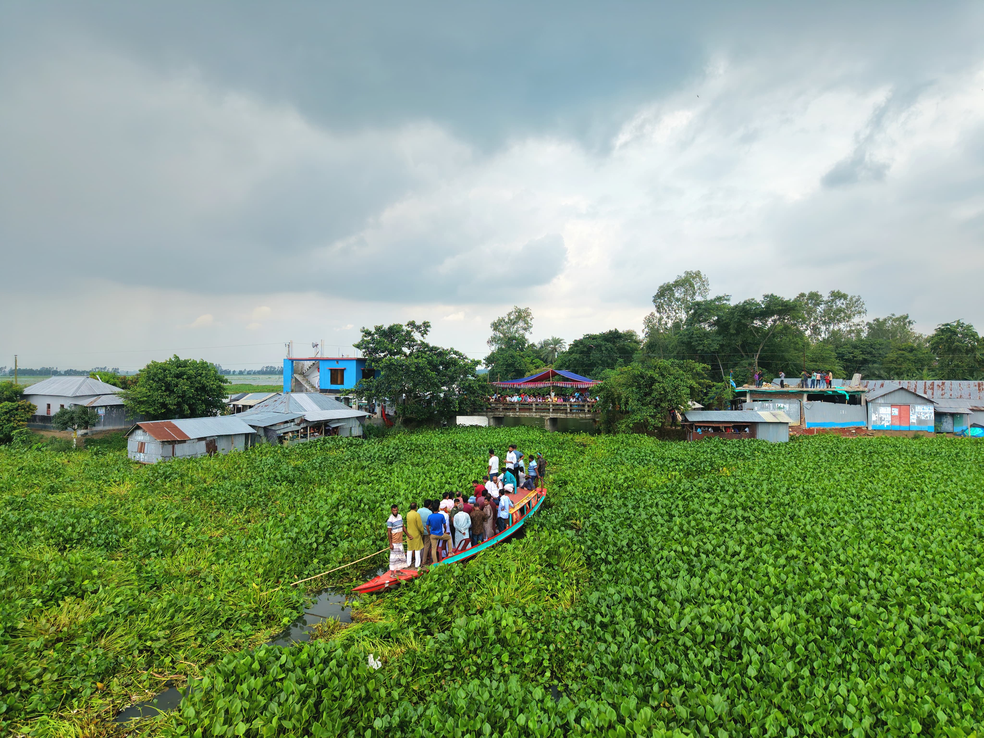 চলনবিলে কচুরিপানা পরিষ্কারের উদ্যোগ