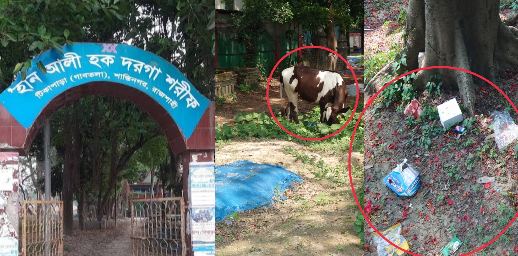 রাজশাহীর টিকাপাড়া গোরস্তানে ‘দরগা’র আড়ালে অনৈতিক কর্মকাণ্ড, ক্ষুব্ধ এলাকাবাসী